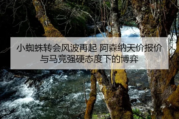 小蜘蛛转会风波再起 阿森纳天价报价与马竞强硬态度下的博弈